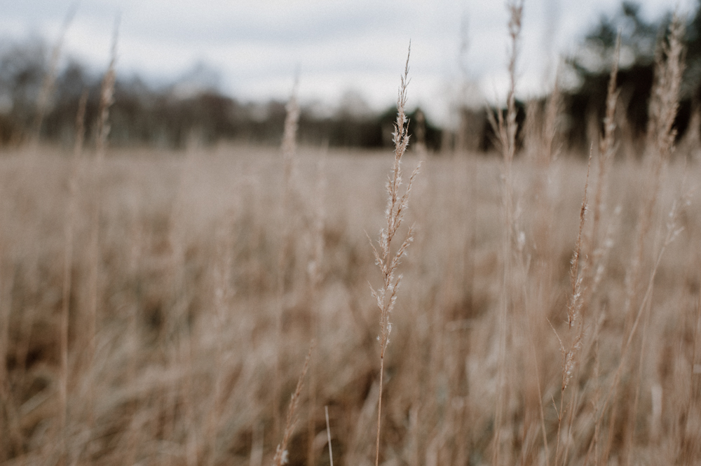 Coupleshoot Cati Martin 006 - Cati & Martin