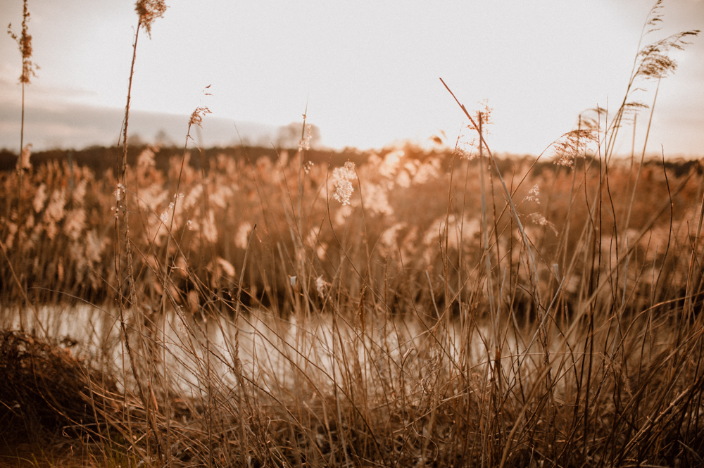 Linda Micha HP 052 - Linda & Micha