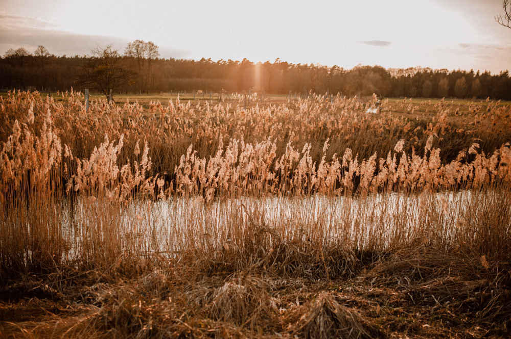 Linda Micha HP 062 - Linda & Micha