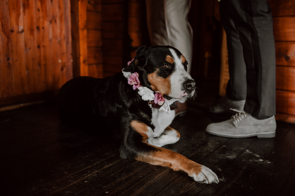 Reportage Simon Janina 019 - Simon & Janina - MQ Ranch