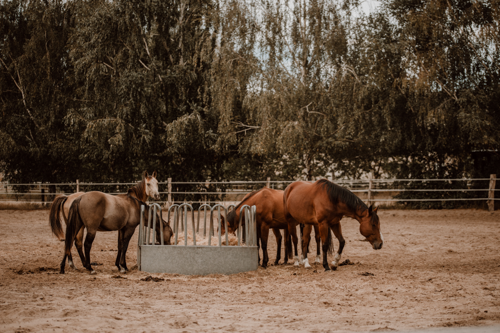 Reportage Simon Janina 137 - Simon & Janina - MQ Ranch