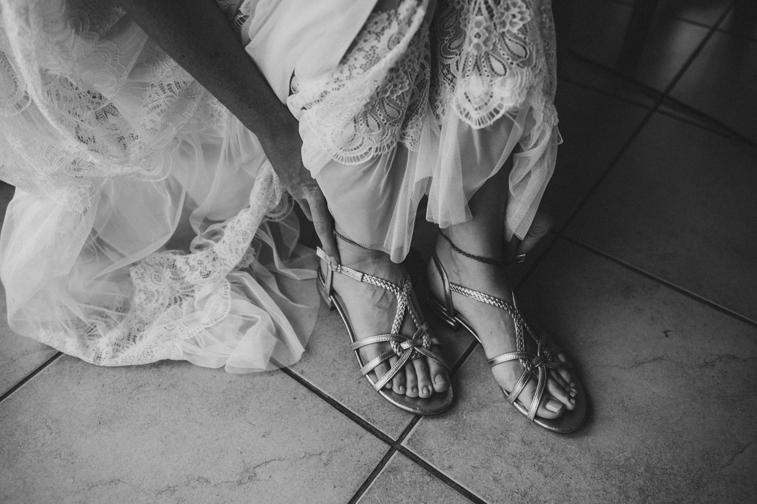 Kira Patrick HP019 - Kira & Patrick - Schmetterlingsgarten