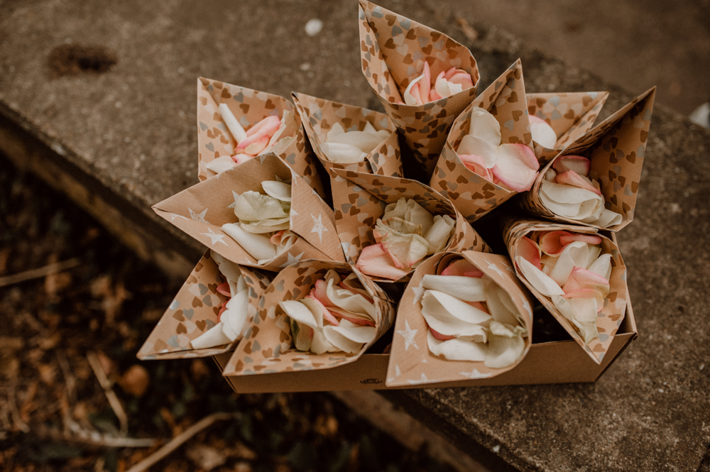 Kira Patrick HP046 - Kira & Patrick - Schmetterlingsgarten