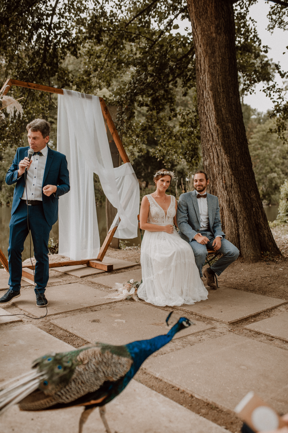 Kira Patrick HP072 - Kira & Patrick - Schmetterlingsgarten