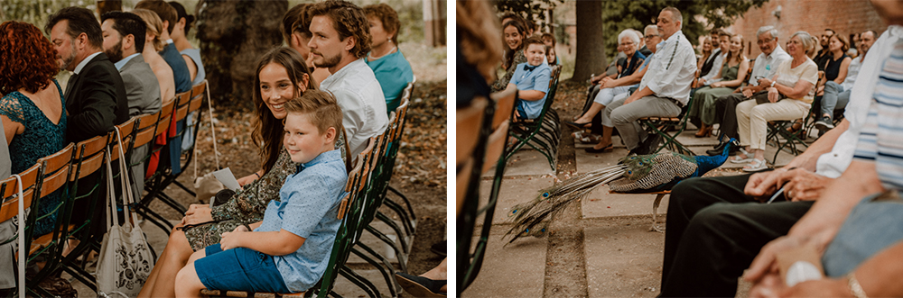 Kira Patrick HP073 - Kira & Patrick - Schmetterlingsgarten