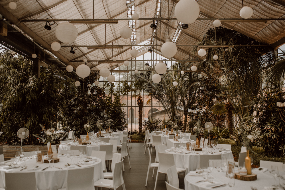 Kira Patrick HP146 - Kira & Patrick - Schmetterlingsgarten