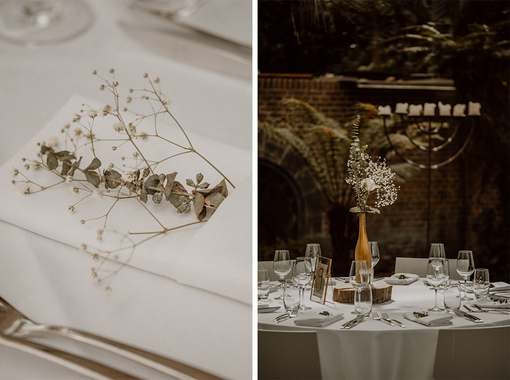 Kira Patrick HP149 - Kira & Patrick - Schmetterlingsgarten