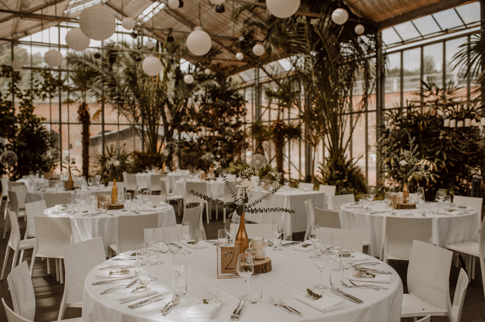 Kira Patrick HP151 - Kira & Patrick - Schmetterlingsgarten