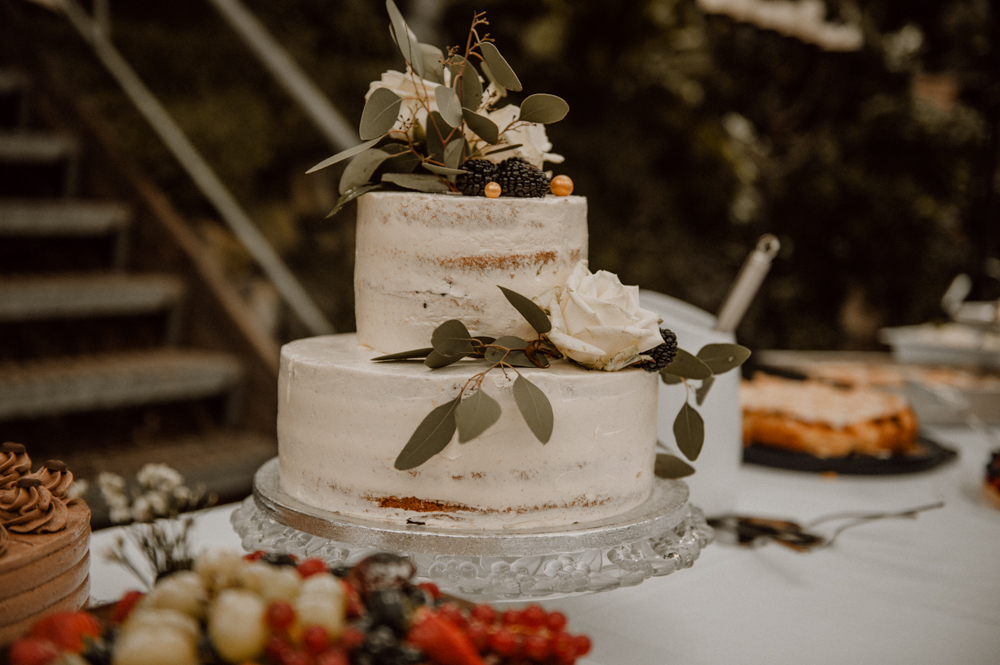 Kira Patrick HP154 - Kira & Patrick - Schmetterlingsgarten