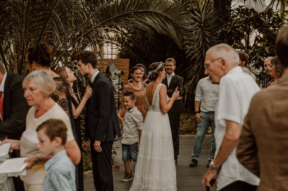 Kira Patrick HP163 - Kira & Patrick - Schmetterlingsgarten