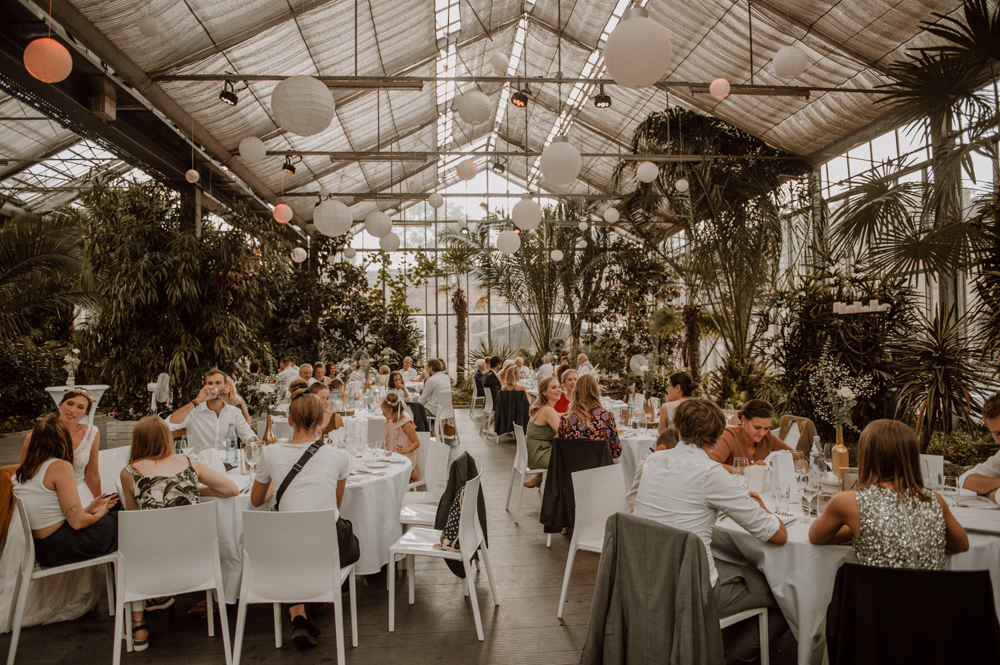 Kira Patrick HP165 - Kira & Patrick - Schmetterlingsgarten