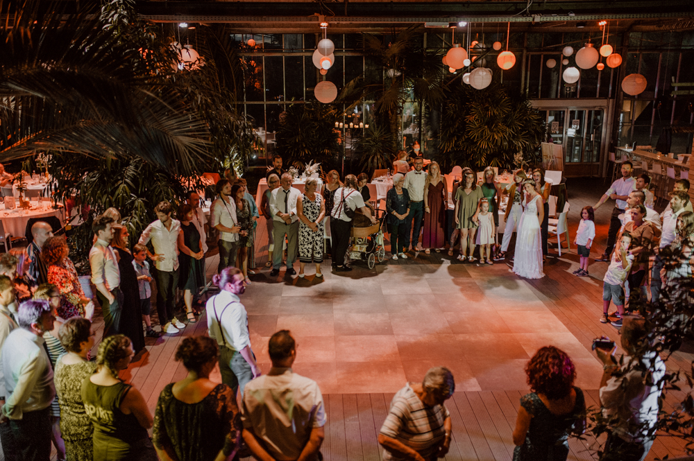 Kira Patrick HP245 - Kira & Patrick - Schmetterlingsgarten