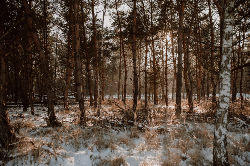 Lisbeth Elli027 - Lisbeth & Elli