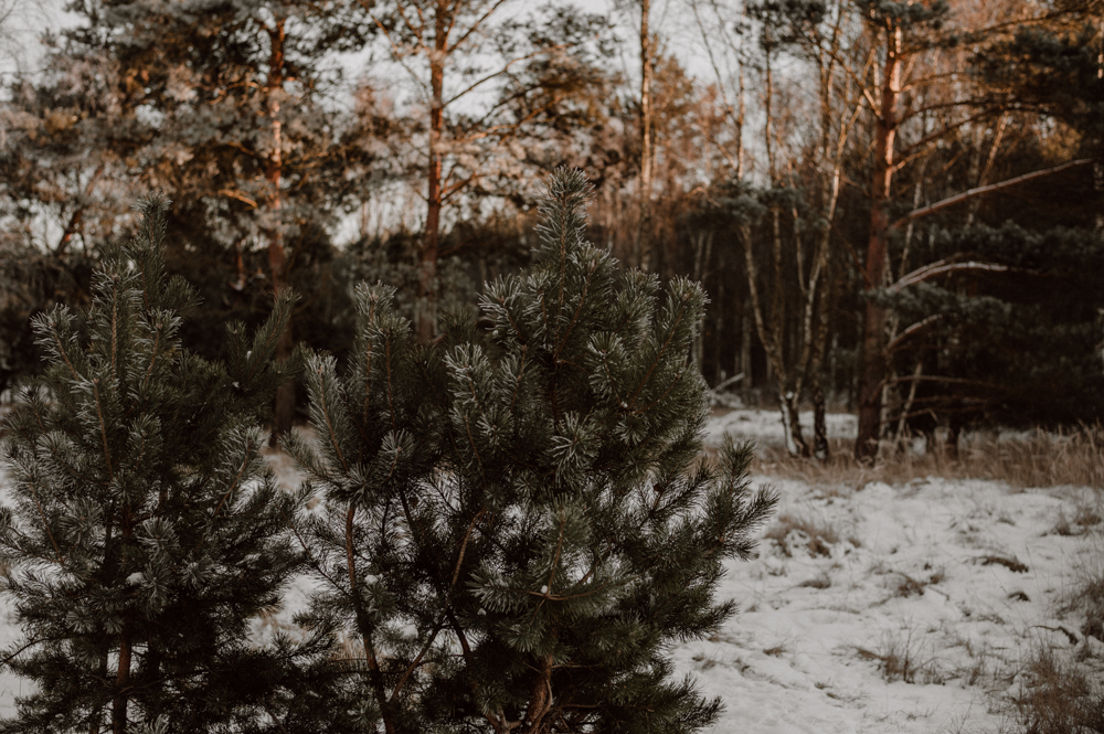 Lisbeth Elli043 - Lisbeth & Elli